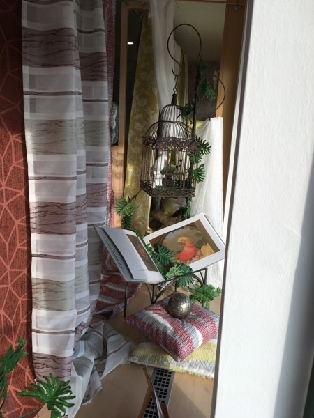schaufenster_vogel