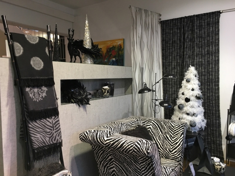 schaufenster_zebra